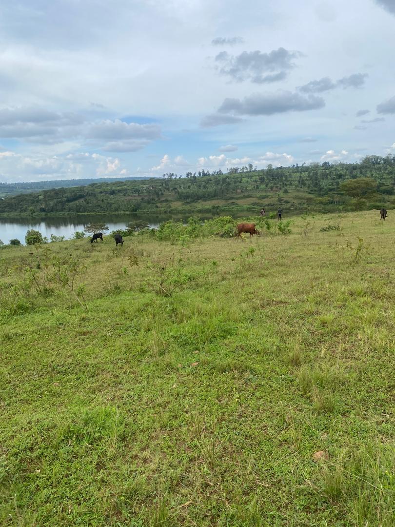 CR 051 LAND FOR SALE IN MUHAZI
